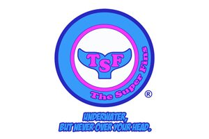 project-covers-carousel-TSF